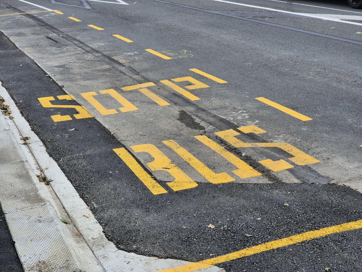 Auckland's road markings mistakes